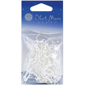 Blue Moon Value Pack Metal Findings-Earwire 1 Silv