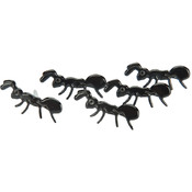 Eyelet Outlet Brads-Ants 12/Pkg Wholesale Bulk