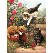 Junior Small Paint By Number Kit 8-3/4" X 11-3/4"-