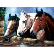 Junior Large Paint By Number Kit 15-1/4" X 11-1/4"