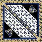 NCAA Collegiate Bandanna 22"X22"-Pittsburgh