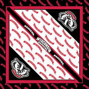 NCAA Collegiate Bandanna 22"X22"-Wisconsin