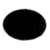 Punch Bunch Mini Punch-Oval