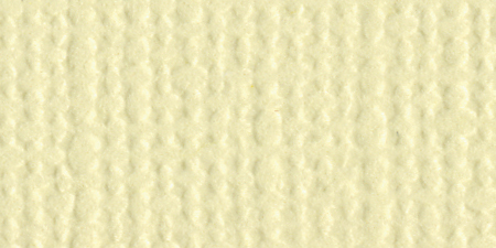 Bazzill Cardstock 12