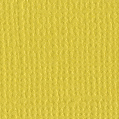 Bazzill Cardstock 8.5