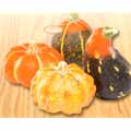 Ceramic Gourds &amp; Pumpkins Set Of 4