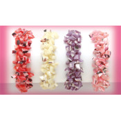 Shell Bracelets