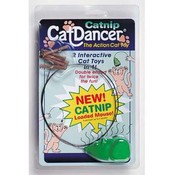 Catnip  Cat Dancer