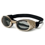 ILS Medium Chrome Frame / Smoke Lenses