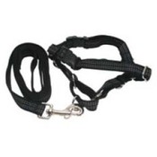 Reflective Easy Walk Harness  Black With   Leash