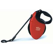 Giant Retractable Dog Tape Leash