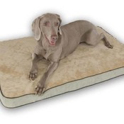 Memory Sleeper Small Sage 18" x 26" x 3.75"