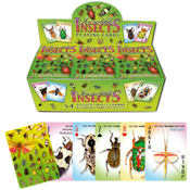 Insects Playing Cards