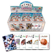 Shells Playing Cards