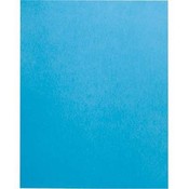 Posterboard Royal Blue 22X28In Wholesale Bulk