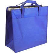 TrailWorthy Hot/Cold Insulated Tote Bag