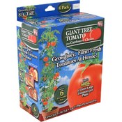 As Seen On TV Giant Tree Tomato