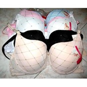 Ladies Fashion Bras