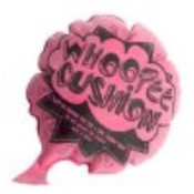 Whoopie Cushion