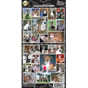 Italian Greyhound Sticker