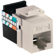 Lt Almond Quickport Cat5e