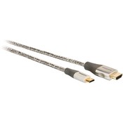 MINI PIN HDMI CABLE 6FT