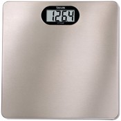 Taylor High Capacity Lithium Scale