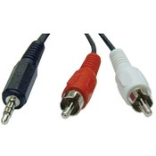 12Ft 3.5Mm Y Adaptr