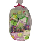 Fairy Craft Easter Basket
