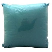Aqua Home Toss Pillow