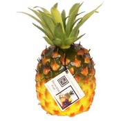 Linens N Things Decorative Tropical Pineapple