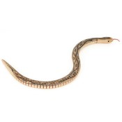 Wild Things 19 Inch Wooden Snake Assortment
