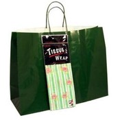 X-Large Green Gift Bag With Tissue