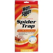 Hot Shot 4 Count Spider Traps