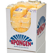 Car Washing Sponges