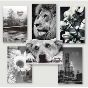 2012 Monthly/Weekly Planner 5x7