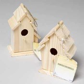 Woodcraft Mini Birdhouse