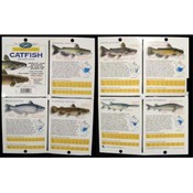 The Freshwater Angler Pocket Guide - Catfish Iden