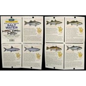The Freshwater Angler Pocket Guide-East Coast Sal