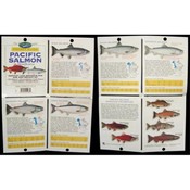 The Freshwater Angler Pocket Guide-Pacific Salmon