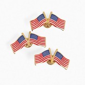 Double USA Flag Pins