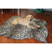 Pet Comfort Blanket
