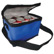 Cooler Bag