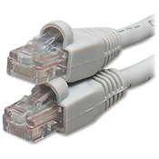 Compucessory Patch Cable, Cat 6, Snagproof, Tamper-proof, 100', Gray Wholesale Bulk