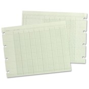 Acco/Wilson Jones  Ledger Sheet, 16 Col., Dbl, 9-1/4"x11-7/8", 100/PK, Green