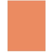 Nature Saver  Construction Paper, 9"x12", 50/PK, Orange