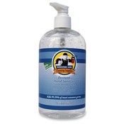 Genuine Joe Hand Gel Sanitizer, Pump Bottle, 16 oz Wholesale Bulk