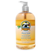 Genuine Joe Antibacterial Moisturizing Liquid Soap,Pump Bottle,16 oz. Wholesale Bulk