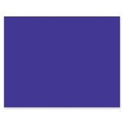 Pacon Corporation  Poster Board, 4-Ply, 22"x28", 25/CT, Purple