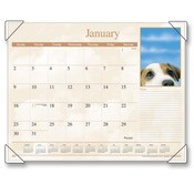 At-A-Glance  Monthly Desk Calendar,12-Month Jan-Dec,Puppy Images,22"X17"